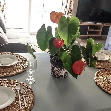 Sofia 3 Apts Nea Chora Chania Steps From The Apartman *