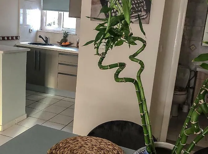 Sofia 3 Apts Nea Chora Chania Steps From The * Ханья